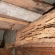 termite damage